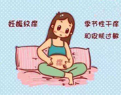 湖北代怀包性别，湖北省二胎生育政策